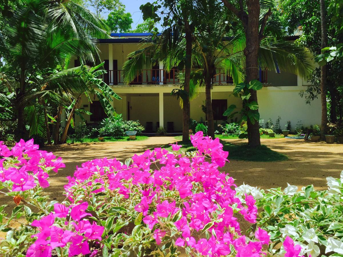 Sigiri Rainbow Lodge Sigiriya Exterior foto